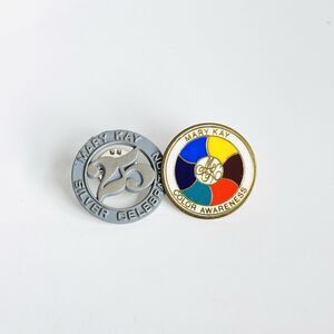 Lot Mary Kay Lapel Pin Vintage Cosmetics Color Awareness 25 Silver Celebration